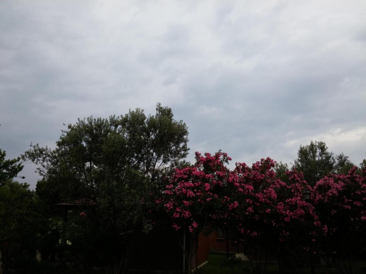 Kervan Tatil Koeyue Edremit  Esterno foto